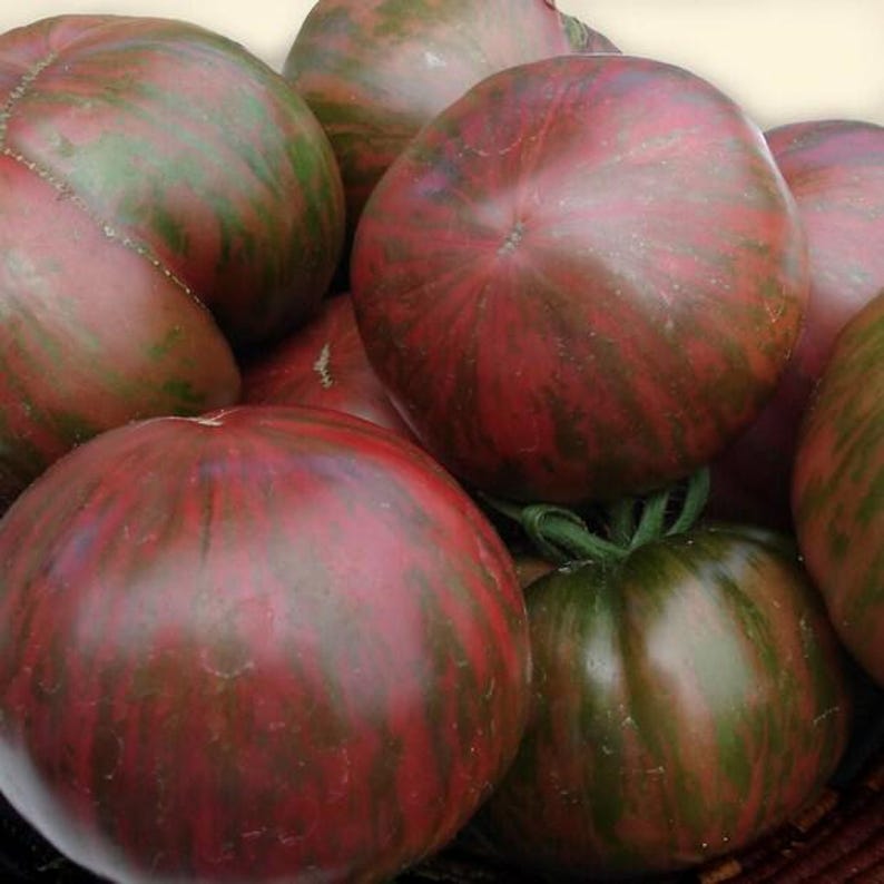 MountainRiverSeed Berkeley Tie-Dye Tomato Seeds - Thumbnail 5