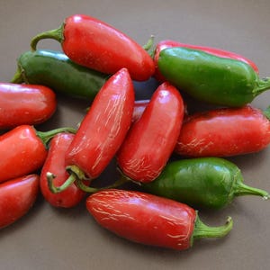 Nadapeno Pepper Seeds: Organic Heirloom, Heatless Jalapeño