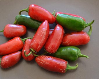 NADAPENO (Heatless), Jalapeño Pepper, Organic Heirloom Garden Seeds - Non-GMO, Open Pollinated Vegetable Seed Packs for Container Gardens