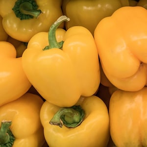 Canary Bell, Sweet Pepper, Organic Heirloom Garden Seeds - Non-GMO, Open Pollinated Vegetable Seed Packets for Container Gardening