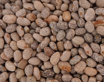 May include: A close-up shot of a pile of speckled beans. The beans are oval-shaped with a mix of beige, brown, and gray patterns. The texture appears slightly rough, and the beans are tightly packed together, filling the frame.