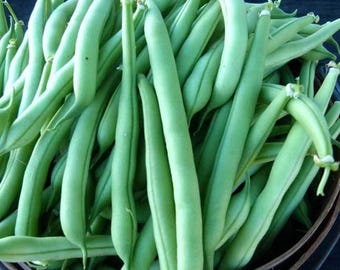 May include: A bunch of fresh green string beans, piled high in a woven basket. The beans are long and slender, with a bright green color.