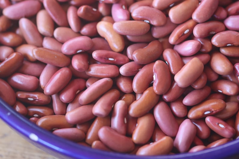 MountainRiverSeed Kidney Bean Seeds - Thumbnail 5