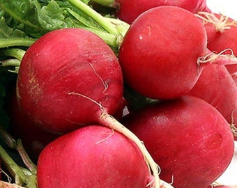 May include: A bunch of fresh red radishes with green leafy tops.