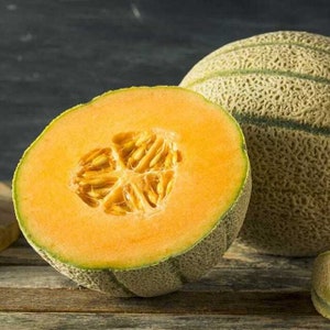20+ Honey Rock , Melon/Cantaloupe, Organic Heirloom Garden Seeds - Non-GMO, Open Pollinated Vegetable Seed Packets for Container Gardening