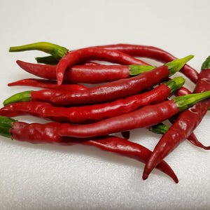 Chile de Arbol, Hot Pepper, Organic Heirloom Garden Seeds - Non-GMO, Open Pollinated Vegetable Seed Packets for Container Gardening