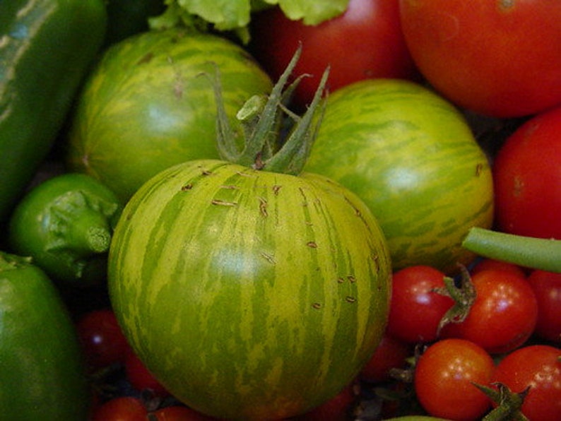 Tomato Green Zebra Tomatoes 30 Heirloom Seeds Grown to Organic