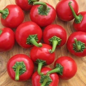 Hot Cherry Pepper Seeds: 20+ Organic Heirloom Vegetable Seeds