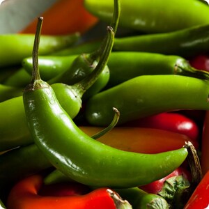Serrano, Hot Pepper, 20+ Organic Heirloom Garden Seeds - Non-GMO, Open Pollinated Vegetable Seed Packets for Container Gardening