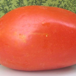 Pu&ograve; includere: Un pomodoro grande, rosso e di forma ovale.
