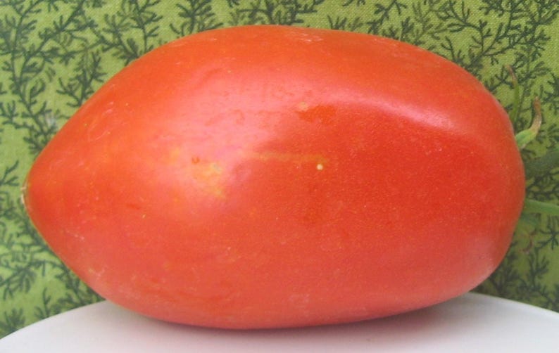 Pu&ograve; includere: Un pomodoro grande, rosso e di forma ovale.