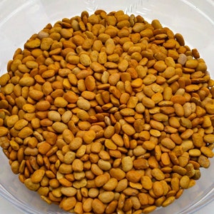 May include: A close-up image of a bowl filled with a large quantity of dried, light brown beans. The beans are oval-shaped and have a slightly rough texture.