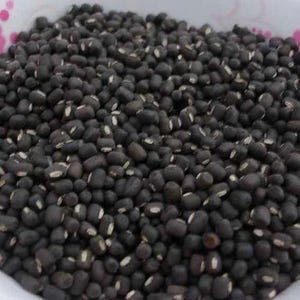 May include: A close-up view of black lentils, a type of legume used in cooking.