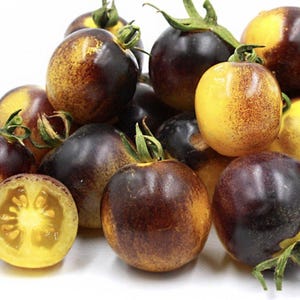 Indigo Gold Berries Tomato Seeds: Heirloom Cherry Tomato, Non-GMO