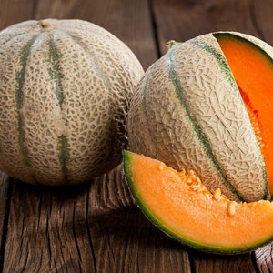 May include: Two whole cantaloupe melons and a slice of cantaloupe on a wooden surface. The melons are green and have a rough texture. The slice of cantaloupe is orange and has a smooth texture.