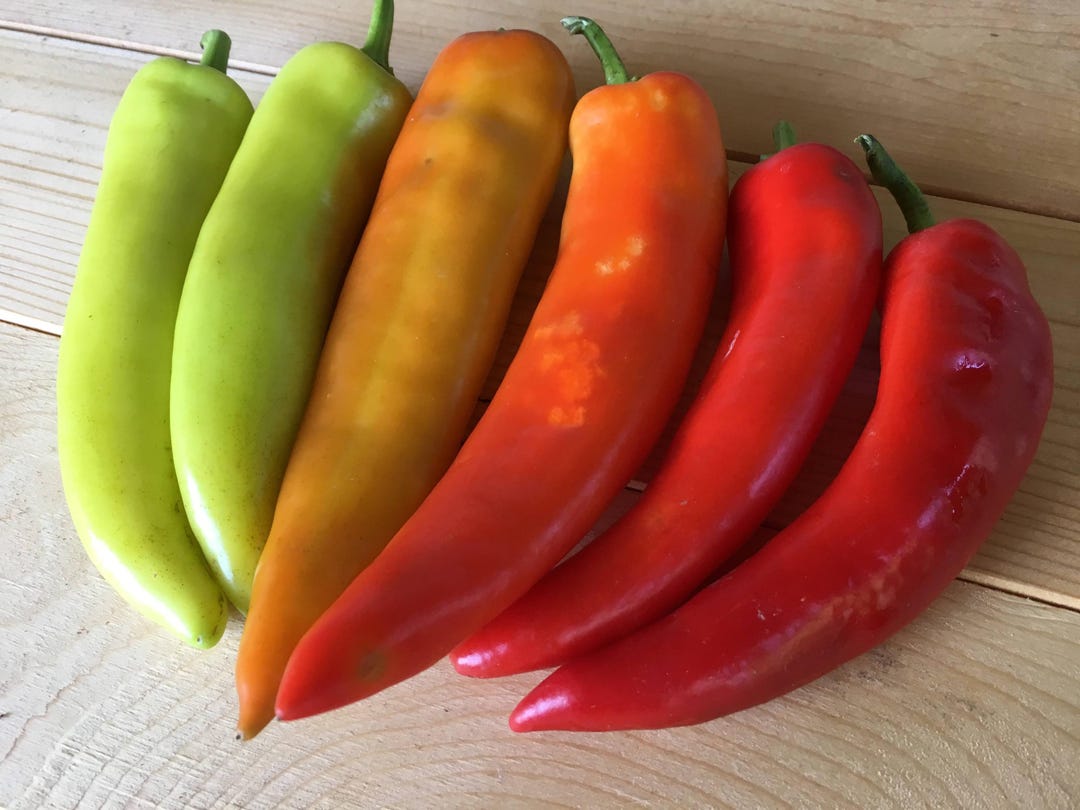 Volcano, Hot Pepper, Heirloom Garden Seeds - Non-gmo, Open Pollinated ...