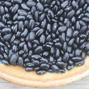 May include: A close-up shot of a pile of black beans, filling the frame. The beans are glossy and dark, with a few showing small white spots. They are arranged on a tan and blue ceramic plate, suggesting a culinary or food-related theme.