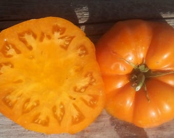 10 Semi Di Pomodoro Raro Yusupovskiye (Uzbekistan) - Biologico E Non OGM