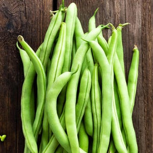 Early Contender, Bush Bean, Heirloom Garden Seeds Open Pollinated Container Gardening Vegetable Garden Seeds Non-GMO Seed Packets