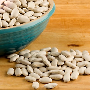 Tarbais Bean Seeds: French Heirloom Cassoulet, Open Pollinated