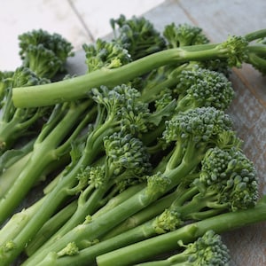 May include: Fresh green broccolini, a hybrid of broccoli and Chinese broccoli, is displayed. The image shows multiple stalks with small florets at the top. The stems are a vibrant green color, and the florets have a slightly darker hue.