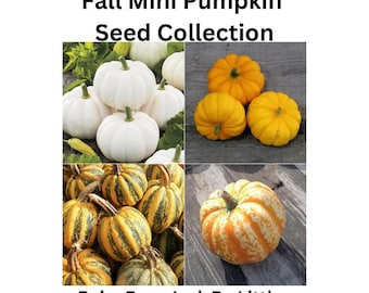 Heirloom Mini Pumpkin Seed Collection: Fall Display, Edible Squash