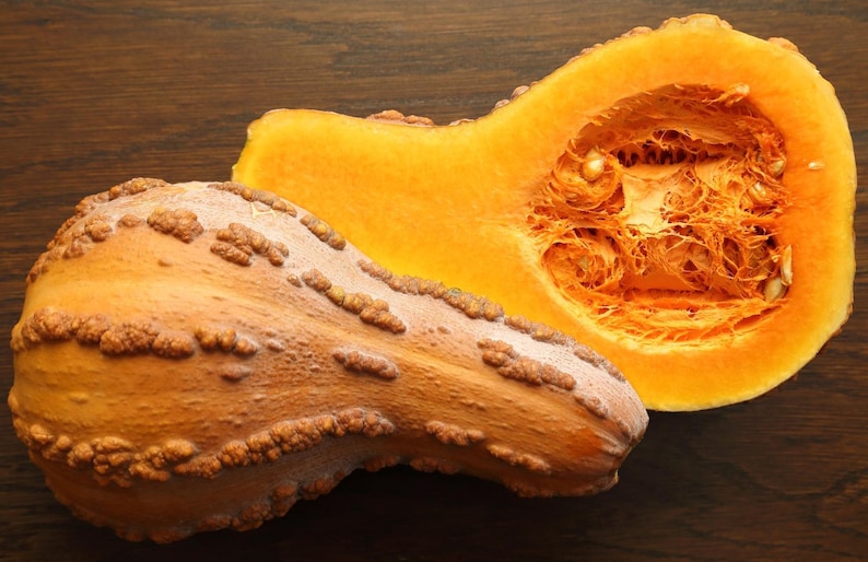Pode incluir: Uma ab&oacute;bora butternut cortada ao meio, com polpa de cor laranja claro e um exterior marrom e irregular. A ab&oacute;bora est&aacute; sobre uma superf&iacute;cie de madeira marrom escura.