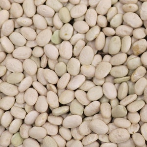 Beans - Whte Tepary  - 60+ heirloom seeds - aka S Totoah Bavi rare Native O'Odham Sonoran desert variety sweet savory creamy superfood