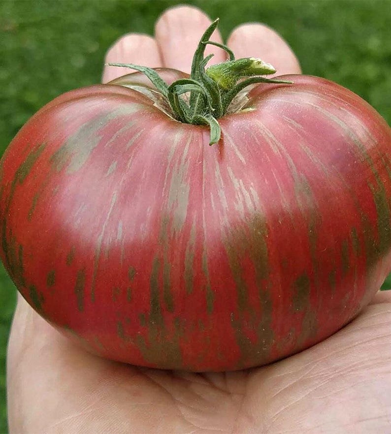 MountainRiverSeed Berkeley Tie-Dye Tomato Seeds