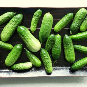 Sumter, Pickling Cucumber, Organic Heirloom Garden Cucumber Seeds - Non-GMO, Open Pollinated Vegetable Seed Packets for Container Gardening