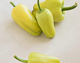Toyozhini Sweet Pepper Seeds: Rare Siberian Heirloom, Open Pollinated