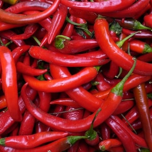 Challeano Hot Chile Pepper Seeds-  Rare Heirloom Seed - Naturally Grown - Open Pollinated - Hot Pepper - Non-GMO- Citrus and Berry Flavored