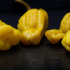 Golden Greek Pepperoncini, Mild Pepper, Organic Heirloom Garden Seeds - Non-GMO, Open Pollinated Vegetable Seed Packet for Container Gardens