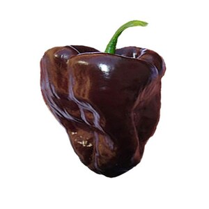 以下が含まれることがあります： 緑色の茎を持つ濃い茶色のピーマン。ピーマンはしわくちゃででこぼこした質感です。