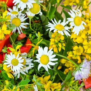 May include: A bouquet of white daisies and yellow wildflowers. The daisies have white petals and yellow centers. The wildflowers have yellow petals and are arranged in a cluster.