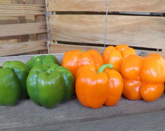 Corona Orange Bell Pepper Seeds: Organic Heirloom Vegetable