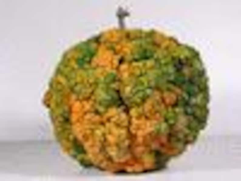 Pode incluir: Uma fruta c&iacute;trica verde e laranja com sali&ecirc;ncias, com um caule e um pequeno alfinete de metal.