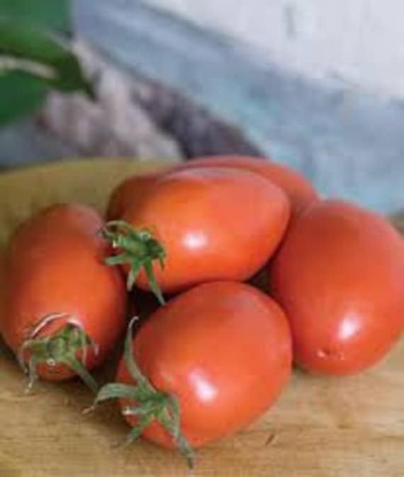 Fat Mama, Paste Tomato, Heirloom Garden Seeds Grown to Organic Standards Open Pollinated Gardening Non-GMO