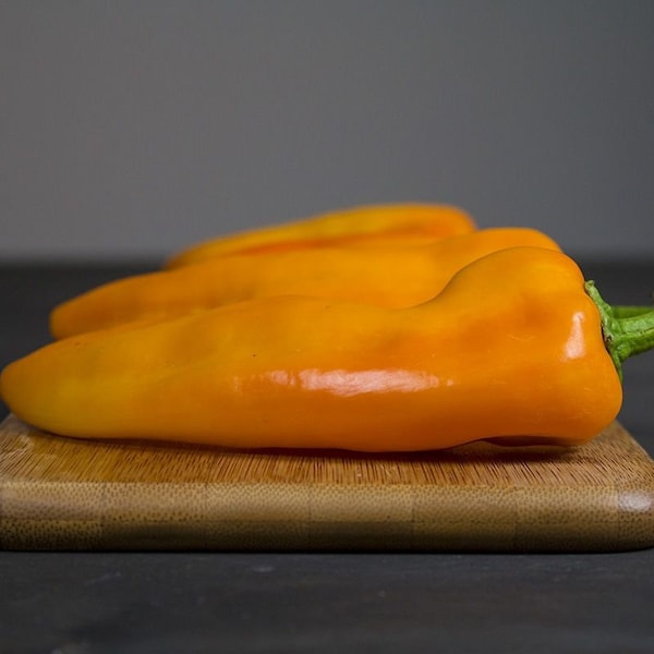 Gatherer's Gold Sweet Italian Pepper - Heirloom seeds -  Open Source Seed Initiative open pollinated naturally grown Non GMO