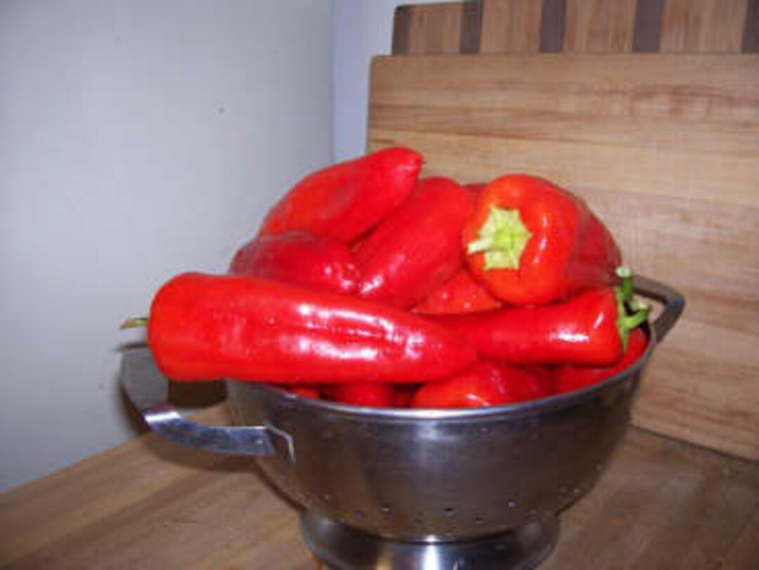 Karlo Sweet Paprika Pepper Seeds Naturally Grown Seed Non GMO Etsy