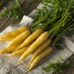 Carrot, Solar Yellow / 350+ Heirloom Seeds - - Open Pollinated Container Gardening Vegetable Seeds Garden Seeds Non-GMO