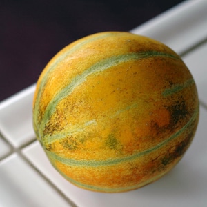 Ha Ogen Melon- Rare Israeli Heirloom Melon-  Non GMO-  Heirloom seed- Organically grown- Open Pollinated Seed