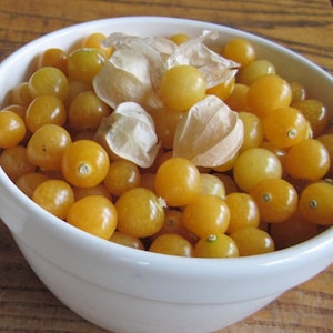 Aunt Molly&#39;s, Ground Cherry, Organic Heirloom Garden Seeds - Non-GMO, Open Pollinated Vegetable Seed Packs for Container Gardening Tomatillo