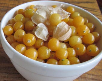 Aunt Molly's Ground Cherry Seeds: Organic Heirloom, Non-GMO