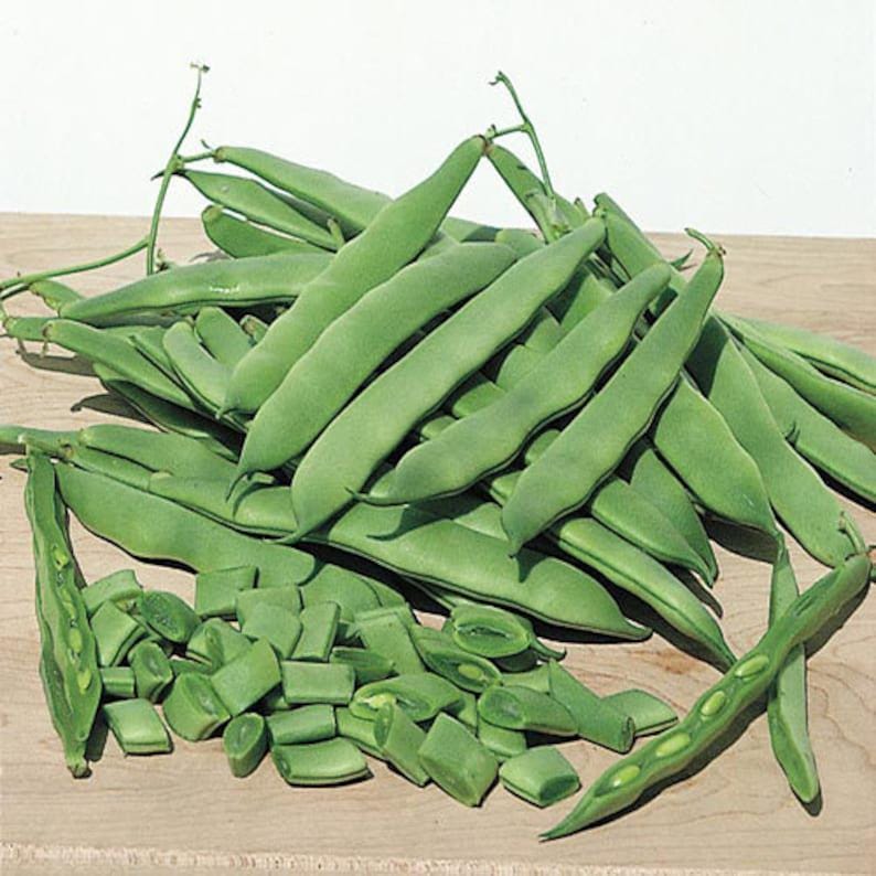 MountainRiverSeed Northeaster Pole Bean Seeds