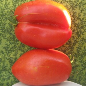 Pu&ograve; includere: Due pomodori rossi brillanti impilati uno sopra l'altro. Il pomodoro in alto &egrave; leggermente deforme e presenta un'incavatura profonda su un lato. Il pomodoro in basso &egrave; pi&ugrave; ovale.