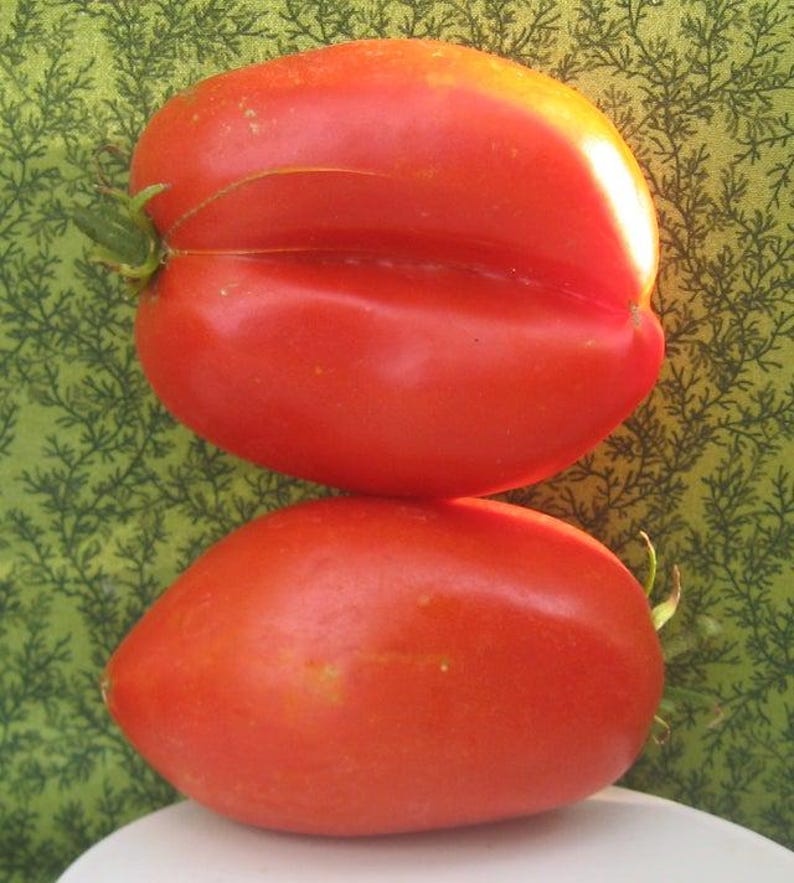 Pu&ograve; includere: Due pomodori rossi brillanti impilati uno sopra l'altro. Il pomodoro in alto &egrave; leggermente deforme e presenta un'incavatura profonda su un lato. Il pomodoro in basso &egrave; pi&ugrave; ovale.