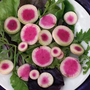 Watermelon, Winter Radish, Organic Oriental Heirloom Garden Seeds - Non-GMO, Open Pollinated Vegetable Seed Packets for Container Gardening