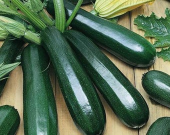 Mutabile, Zucchini, Summer Squash, Organic Open Pollinated Powdery Mildew Resistant