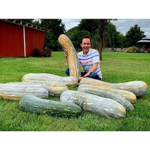 Lunga di Napoli, Winter Squash, Italian Organic Heirloom Garden Seeds - Non-GMO, Open Pollinated Vegetable Seed Packets for Container Garden